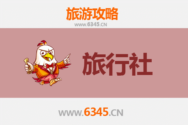 泉州惠安本地旅行社推荐：探索闽南文化与滨海风情的完美指南